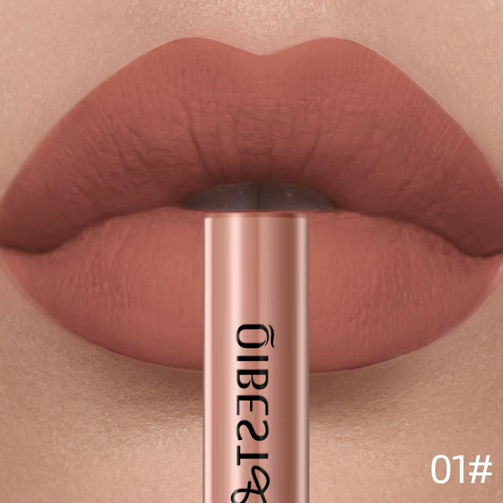 Matte Liquid Lipstick Waterproof Long Lasting Velvet Lip Gloss Tint Tube Matte Nude Pigment Red Lipgloss Lips Makeup