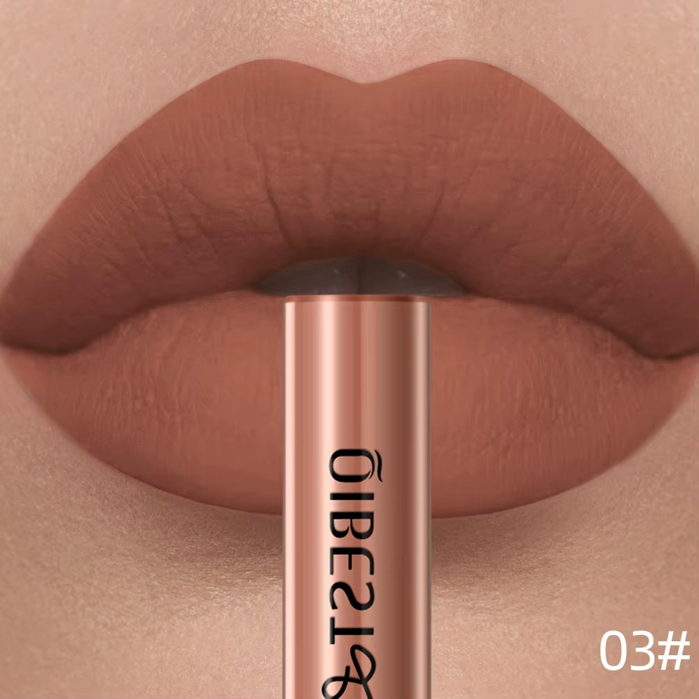 Matte Liquid Lipstick Waterproof Long Lasting Velvet Lip Gloss Tint Tube Matte Nude Pigment Red Lipgloss Lips Makeup