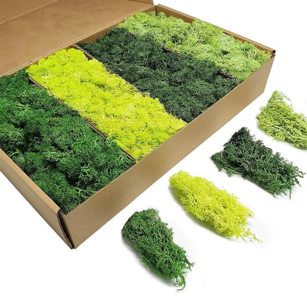 Artificial Green Plants Eternal Life Moss DIY Crafts Grass Garden Home Room Decor Mini Landscape Fake Grass 20/40/100G