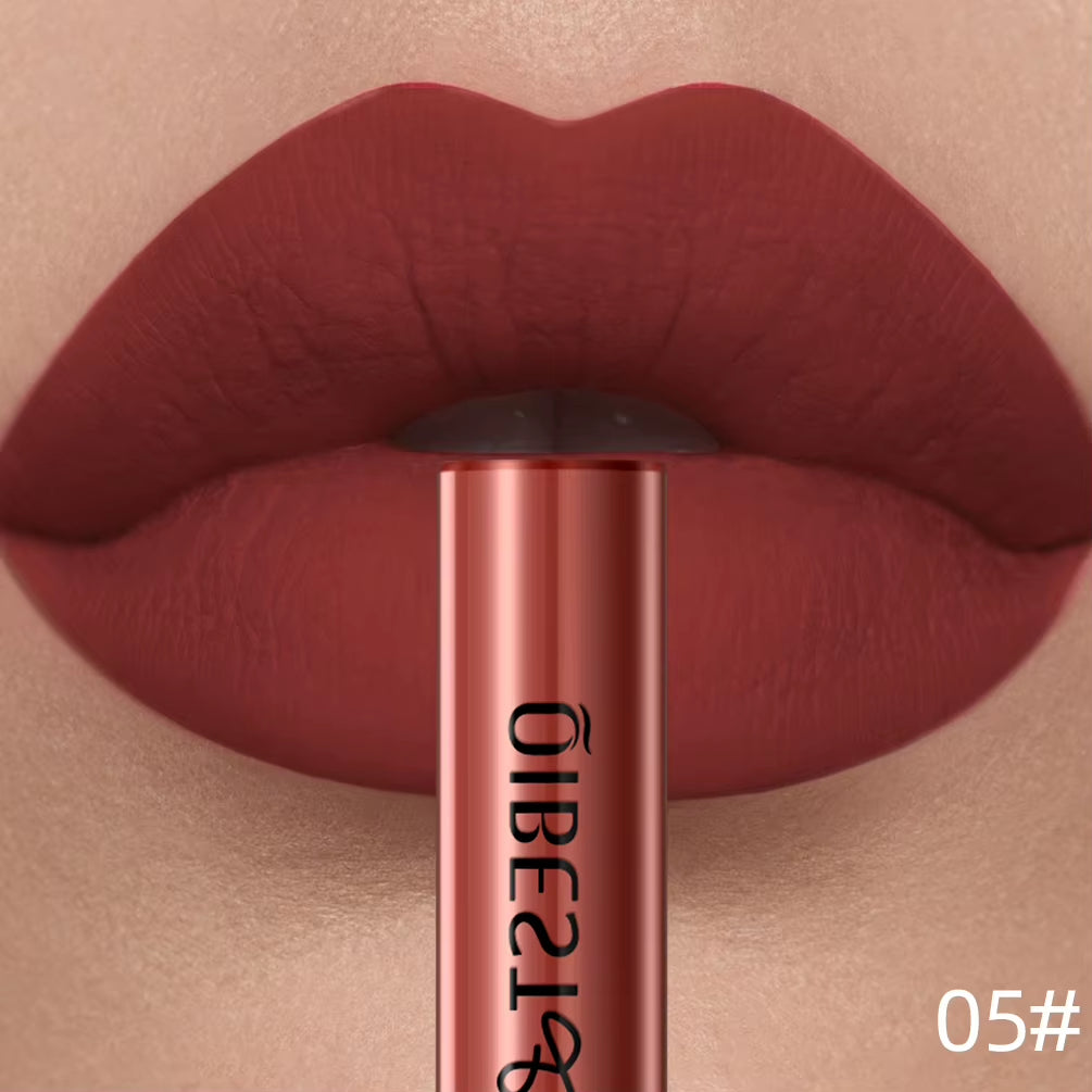 Matte Liquid Lipstick Waterproof Long Lasting Velvet Lip Gloss Tint Tube Matte Nude Pigment Red Lipgloss Lips Makeup