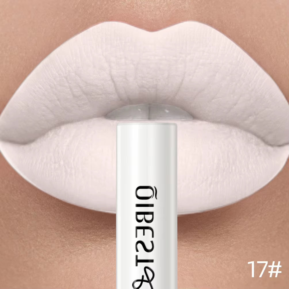 Matte Liquid Lipstick Waterproof Long Lasting Velvet Lip Gloss Tint Tube Matte Nude Pigment Red Lipgloss Lips Makeup