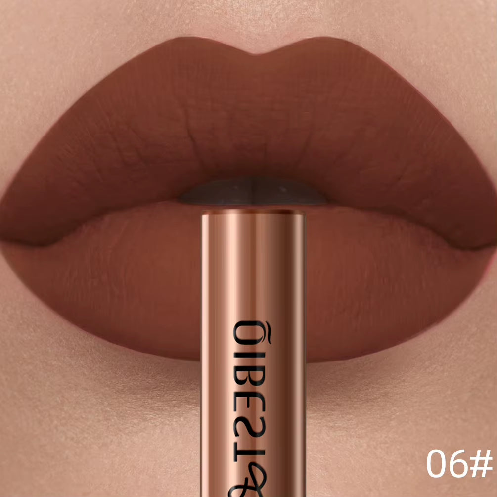 Matte Liquid Lipstick Waterproof Long Lasting Velvet Lip Gloss Tint Tube Matte Nude Pigment Red Lipgloss Lips Makeup
