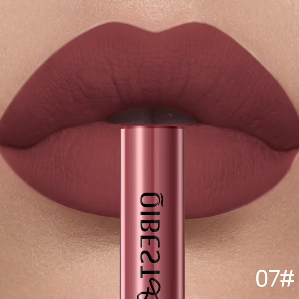 Matte Liquid Lipstick Waterproof Long Lasting Velvet Lip Gloss Tint Tube Matte Nude Pigment Red Lipgloss Lips Makeup